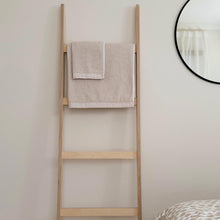 Load image into Gallery viewer, BIRCH PLYWOOD LADDER