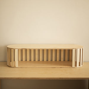IDA MONITOR STAND