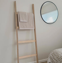 Load image into Gallery viewer, BIRCH PLYWOOD LADDER